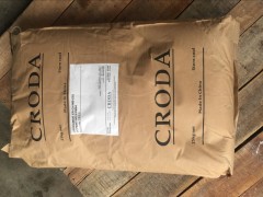 պ̴̴CRODA ߼