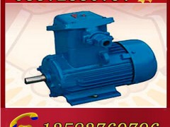 YBK3-200L1-2늙C