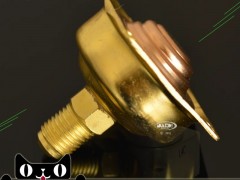 _PS޼ĸ߉͉qĚsyܚ